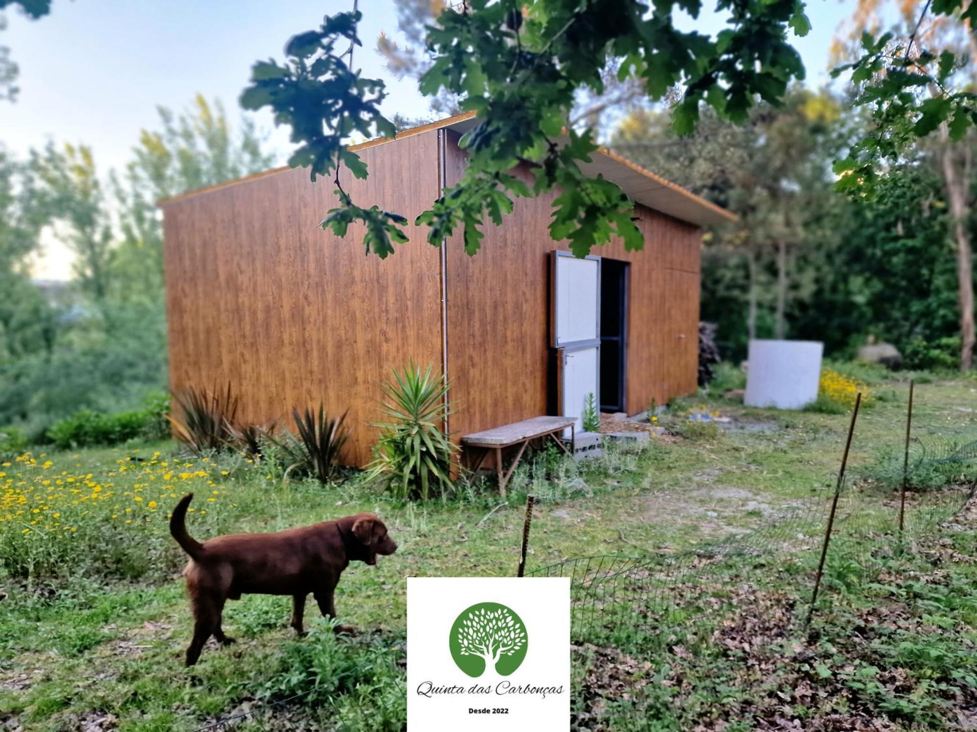 Quinta Das Carboncas Fafe Esterno foto