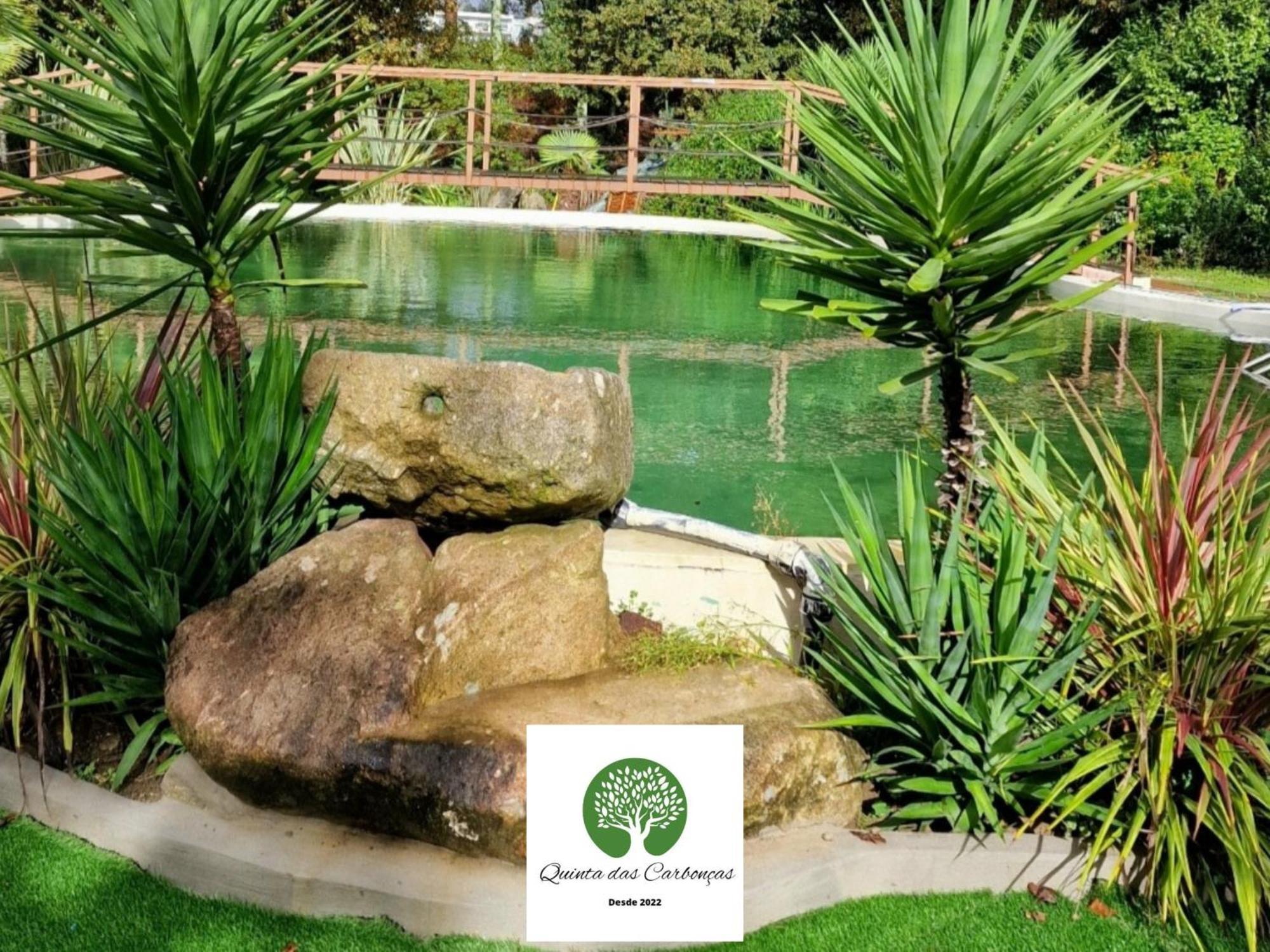 Quinta Das Carboncas Fafe Esterno foto